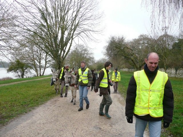 Loire propre 2014 (18).jpg